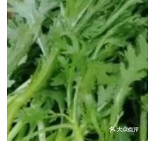 Chinese chrysanthemum greens