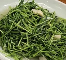Stir-Fried Bean Sprouts