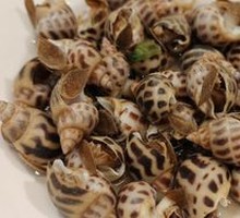 Marinated Mixed Snails