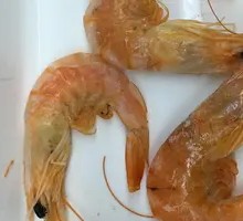 Fresh Shrimp