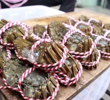 Fresh Live Crab - June Yellow Crab