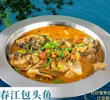 Fuchun River Carp