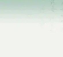 Copper Basin Stir-Fried Chicken