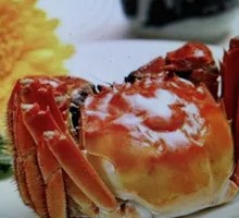 Male and Female Crabs