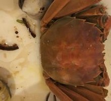 Freshwater Crab