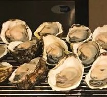 Oyster