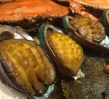 Abalone