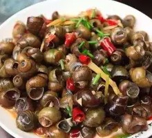 Qianshan Lake Snail