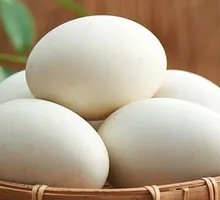 Wild Goose Egg