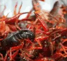 Crawfish