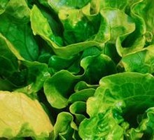 Lettuce