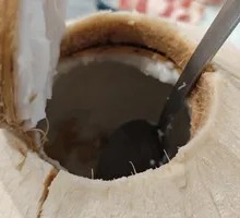 Mini Coconut Jelly