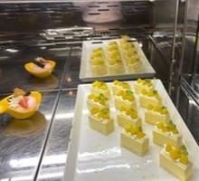 Indoor Tropical Rainforest