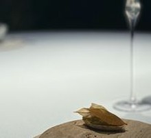 New Zealand Black Abalone