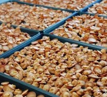 Hawaiian Nut Cheese Crisp