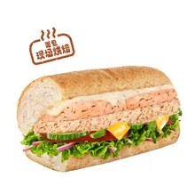 Dill Salmon Tuna Sandwich