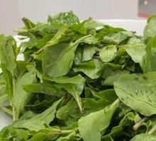Goji Leaf