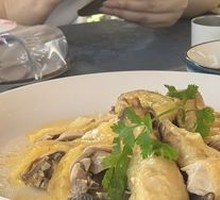 Steamed Chicken in Cold Sauce