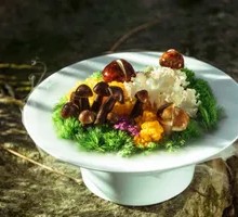 Yunnan Mushroom Collection