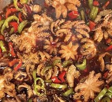 Mini Octopus