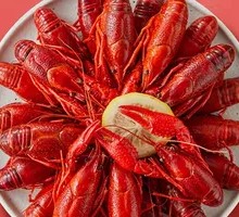 Beginner's Cold-Plated Lobster