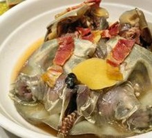 Steamed Softshell Turtle