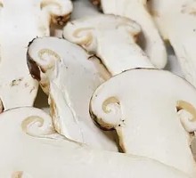 Songrong Mushroom