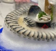 Black Gold Abalone