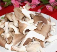 Enoki Mushroom