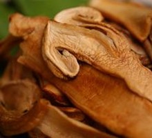 Wild Matsutake Mushroom
