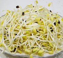 Bean sprouts