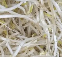 Silver Sprouts