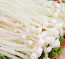 Enoki Mushroom