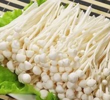 Enoki Mushroom