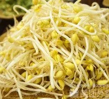 Mung Bean Sprouts