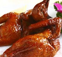 Young Pigeon with Milk