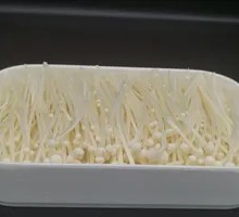 Enoki Mushroom