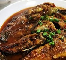 Wild Wandering Catfish