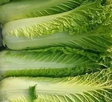 Organic Seasonal Vegetables