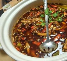 Eel Pot