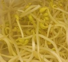 Bean sprouts