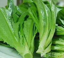 Oilseed lettuce