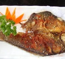 Crucian Carp