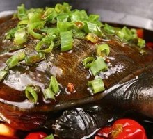 Jingsha Softshell Turtle