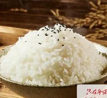 Fragrant Rice
