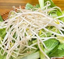 Bean sprouts