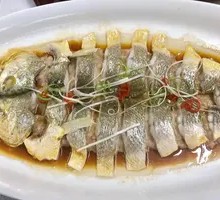 Braised Yellow Croaker in Meat Sauce