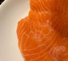 Salmon