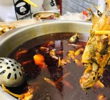 Yellow Catfish