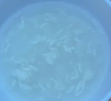 Rice Wine Tangyuan